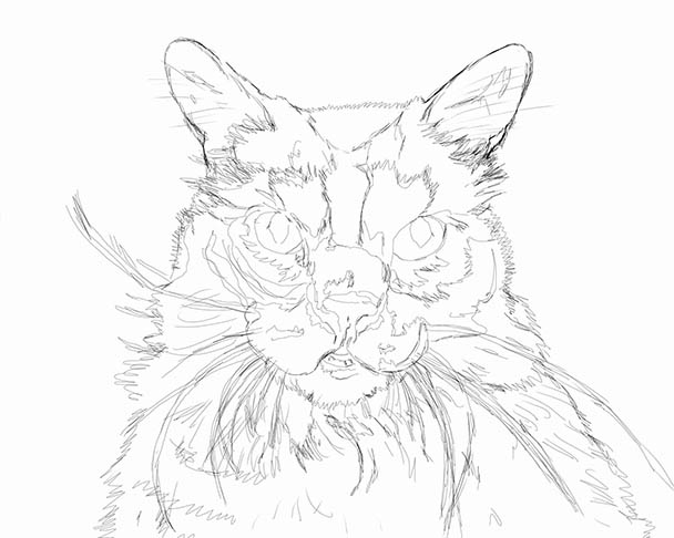 cat lineart paint